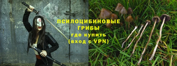 прущие крисы Иноземцево