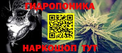 прущие крисы Кандалакша