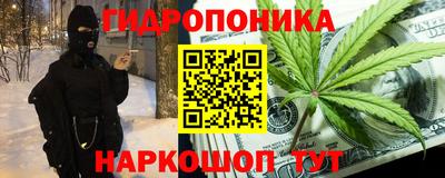 прущие крисы Кандалакша