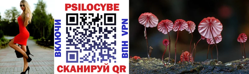 Псилоцибиновые грибы Cubensis купить закладку Бирск
