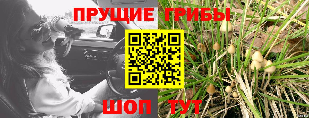 Псилоцибиновые грибы Psilocybe  Галлюциногенные грибы Cubensis  Вход с VPN  Бирск 